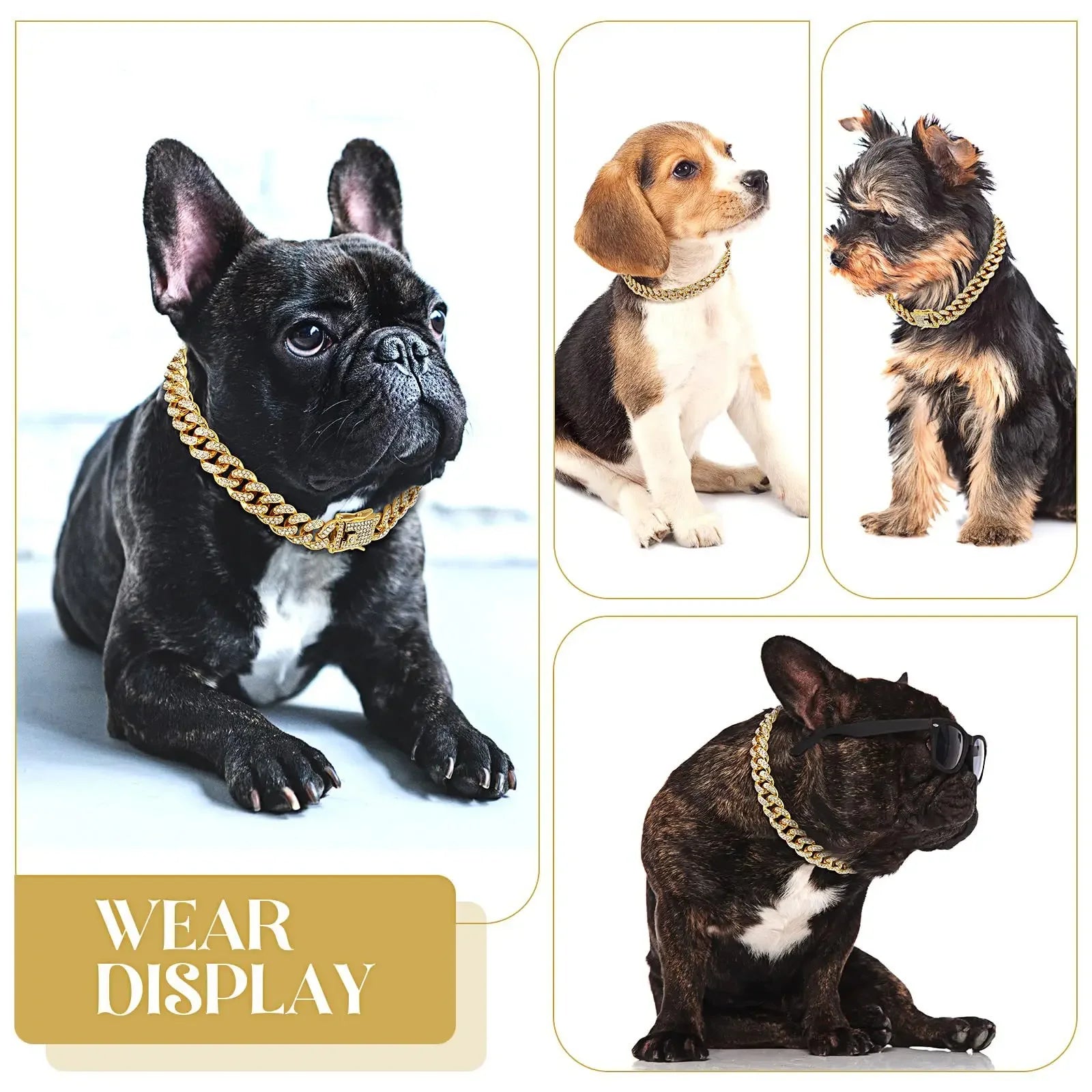 Collage of dogs wearing gold chain collars with 'Wear Display' text.