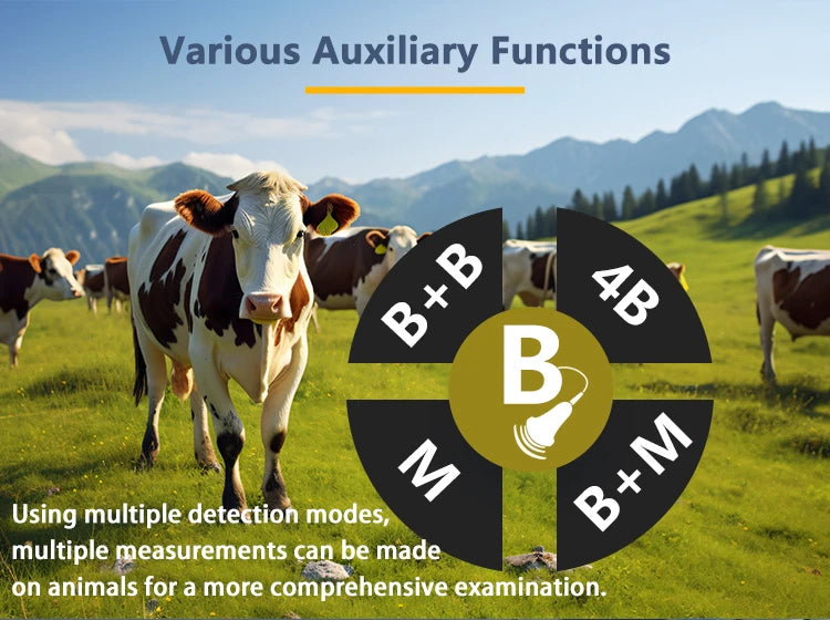 Portable Veterinary Ultrasound Scanner for Pig Sheep Cattle Horse Dog