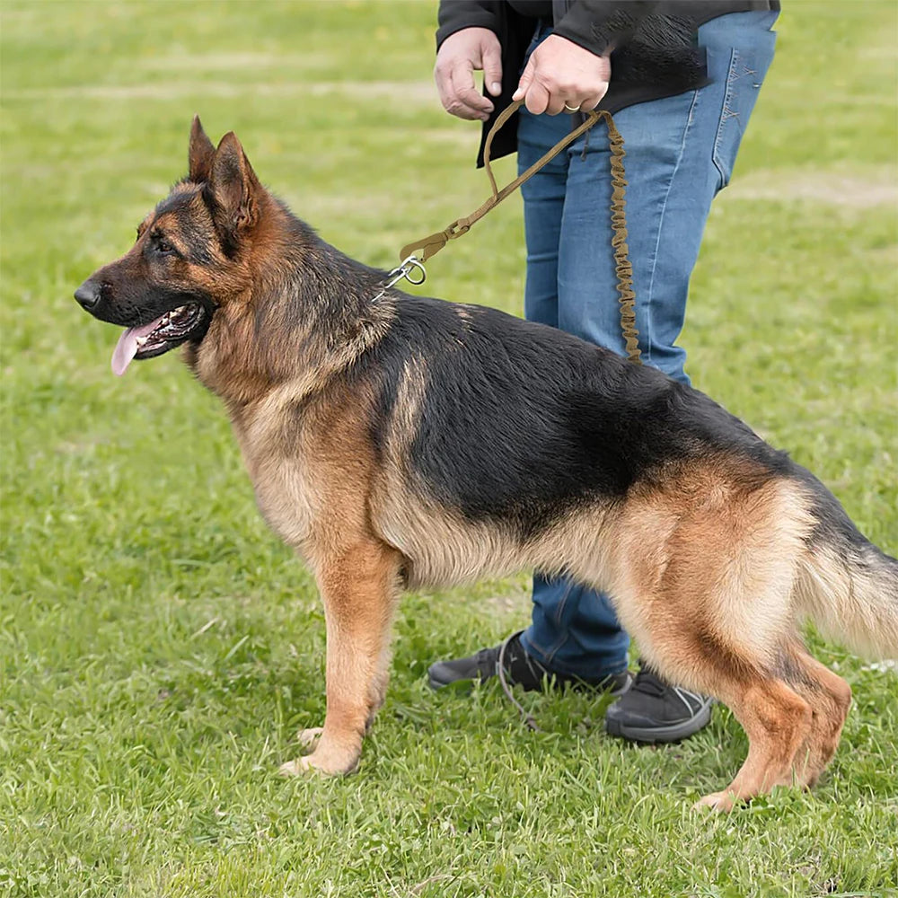 Military Dog Leashes Adjustable Quick Release With 2  Handles