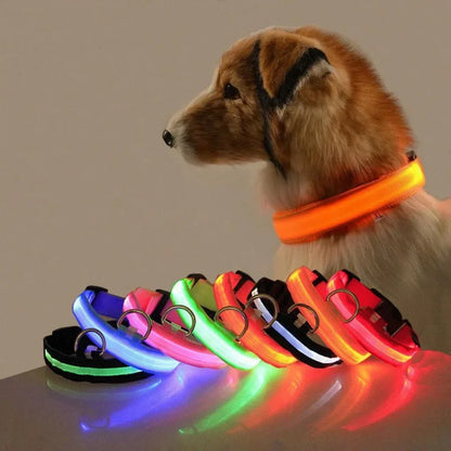 Battery Collar Nylon LED Night Safety Flashing Glow in The Dark