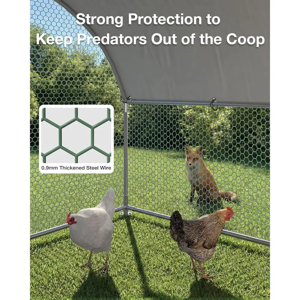 Outdoor Chicken Run with Cover, 19.5x10x6.4ft