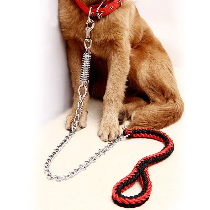 A golden retriever dog wearing a red collar with a heavy-duty silver metal chain leash attached, lying on a white floor next to a red and black braided lead.