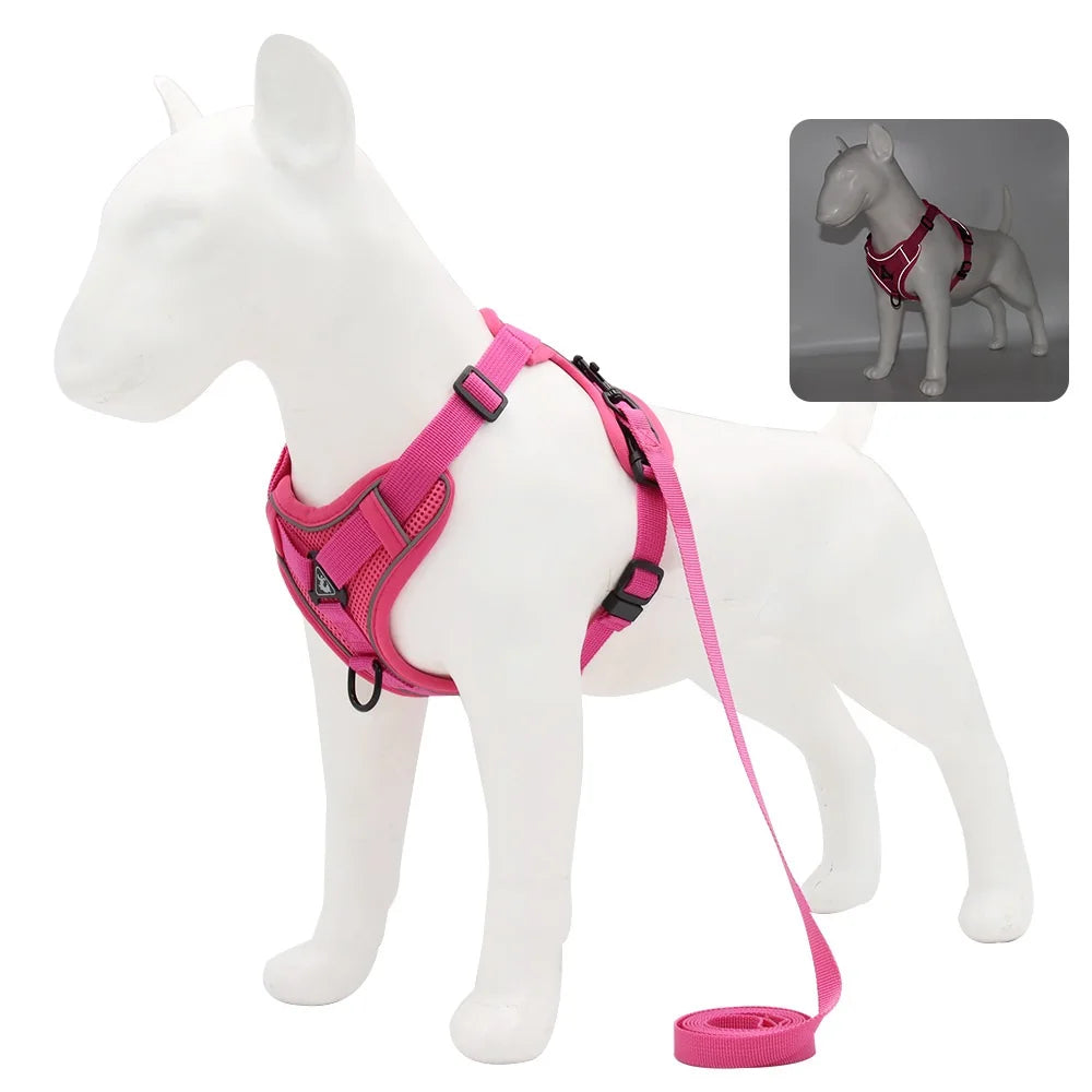 Harness and Leash Set For Small Dog French Bulldog Pug Pitbull Puppy