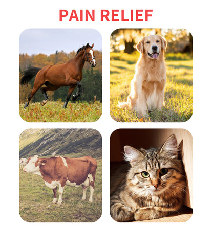 Pain Relief LED Red Light Infrared Machine For Horse Back Therapy