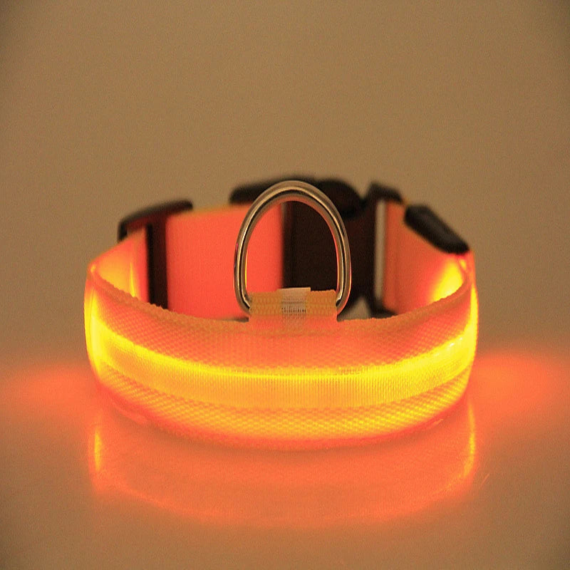 An illuminated safety collar with a bright orange and yellow glow, featuring a silver metal D-ring and black plastic buckle, shown on a reflective surface against a warm beige background.