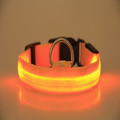 An illuminated safety collar with a bright orange and yellow glow, featuring a silver metal D-ring and black plastic buckle, shown on a reflective surface against a warm beige background.