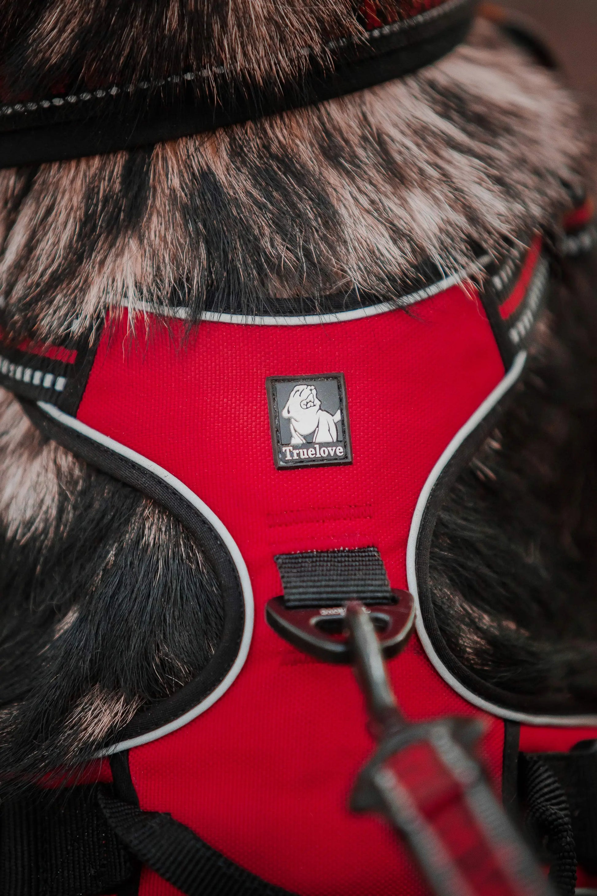 Red harness with fur trim on a horse, featuring a brand logo.