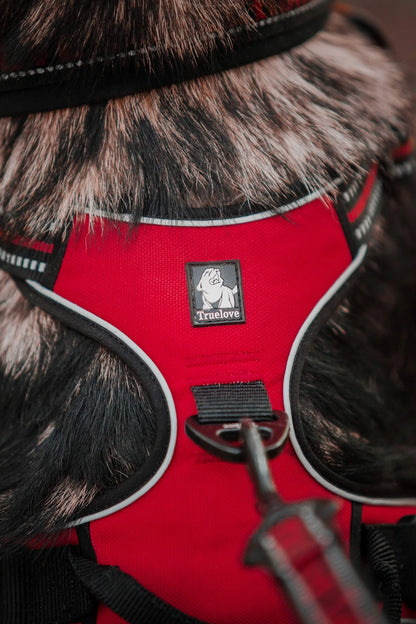 Red harness with fur trim on a horse, featuring a brand logo.
