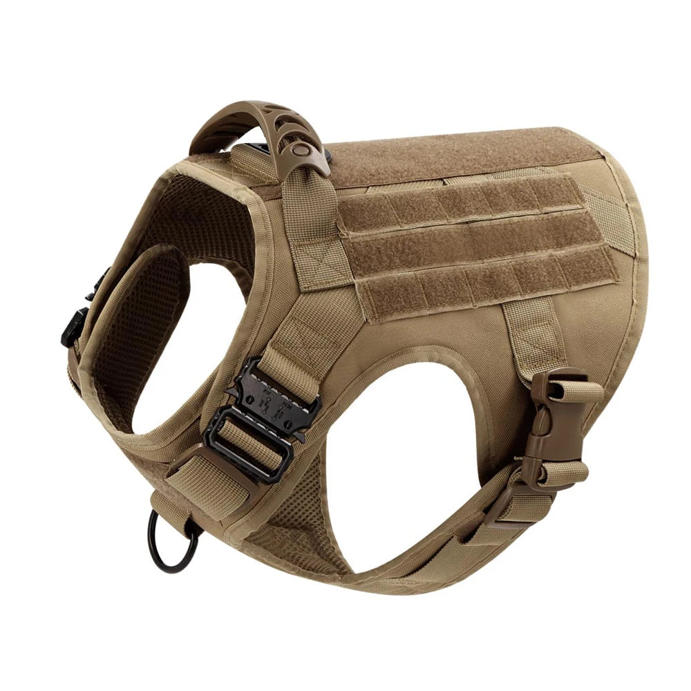 Large Dog Harness And Leash Set