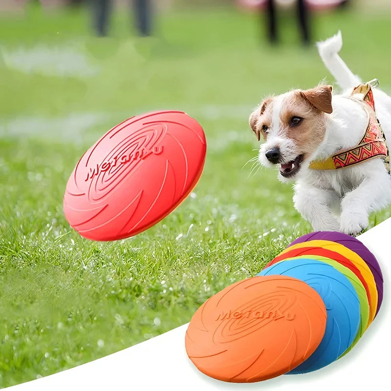Dog playing with a red frisbee on grass, with additional colorful frisbees in the foreground.