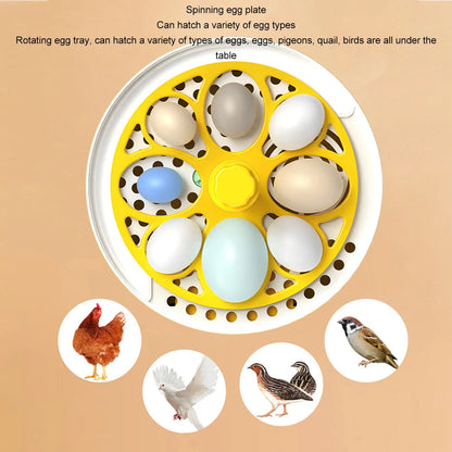 A yellow and white spinning egg hatcher tray shown on a beige background with explanatory text and small circular images of different birds and eggs. The product is designed to hatch various egg types, including eggs, pigeoes, quail, and birds.