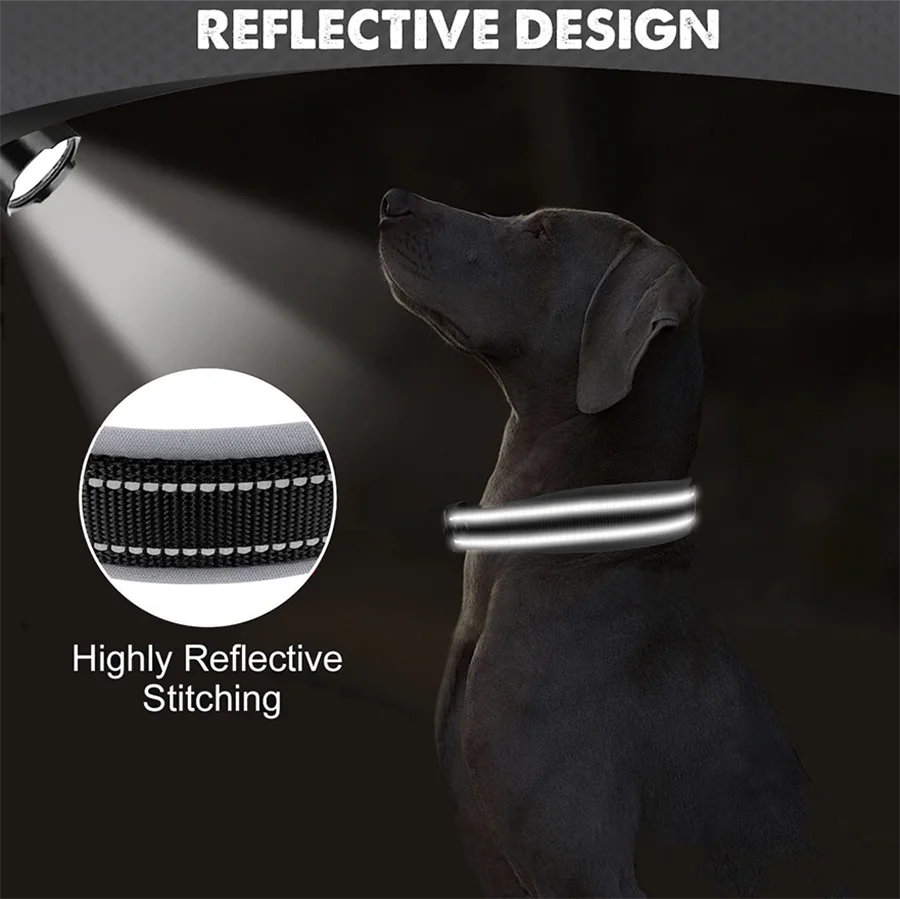 Dog wearing a reflective collar with a close-up of the reflective stitching in a dark setting.