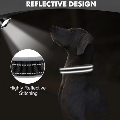Dog wearing a reflective collar with a close-up of the reflective stitching in a dark setting.