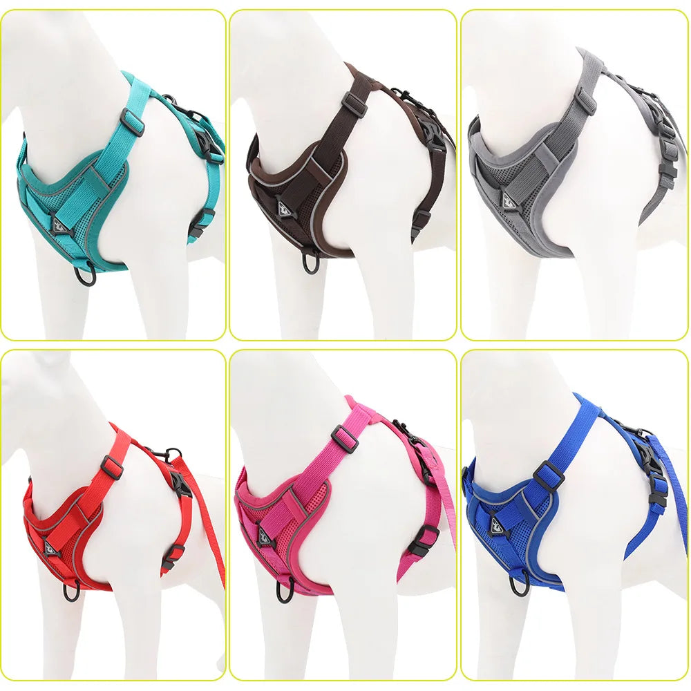 Harness and Leash Set For Small Dog French Bulldog Pug Pitbull Puppy
