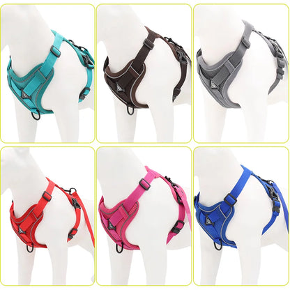 Harness and Leash Set For Small Dog French Bulldog Pug Pitbull Puppy
