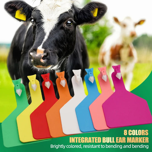 50/100 Pcs Cow Ear Tags11x7.5cm Eight Different Colors Blank