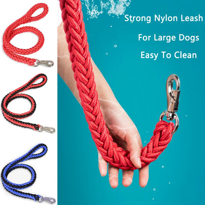 Red and blue braided dog leashes with metal clasps on a teal background.