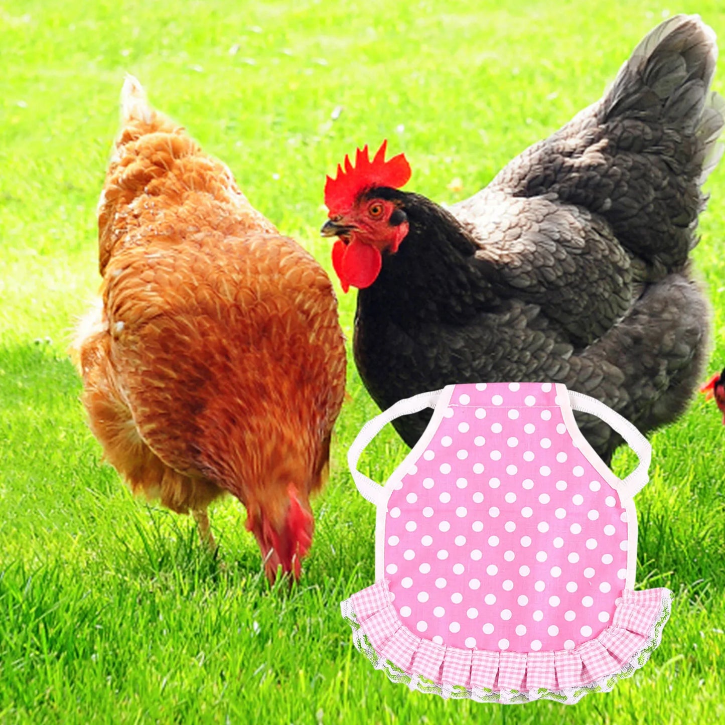 1pcs Farm Hen Feather Retainer Chicken Saddle Strap Apron Double Back Protector