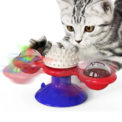 Cat playing with a colorful spinning toy on a white background