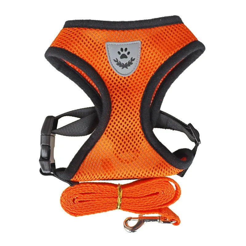 Cat Leash and Harness Anti Escape