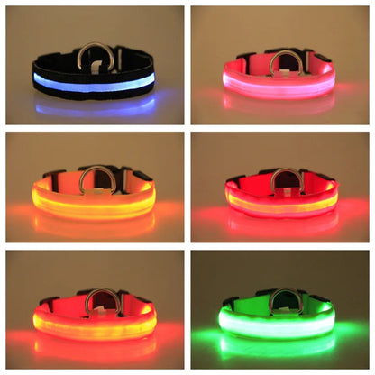 Battery Collar Nylon LED Night Safety Flashing Glow in The Dark