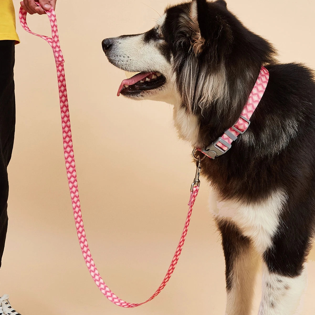 Colorful Silk-Print Cat & Dogs Lead Rope Fashion Nylon Dog Leashes