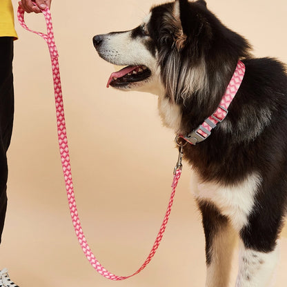Colorful Silk-Print Cat & Dogs Lead Rope Fashion Nylon Dog Leashes