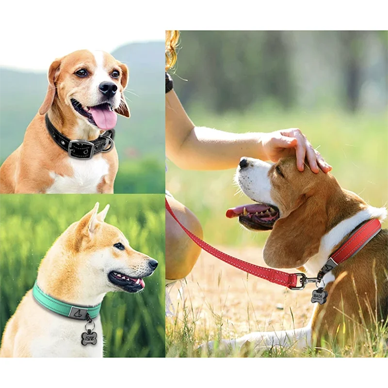 Padded Dog Collars Reflective Adjustable Heavy Duty Nylon Neoprene