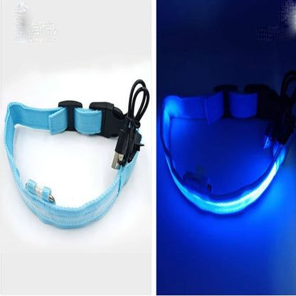 A split-screen view of a light blue LED pet collar. The left side shows the unlit collar with a black plastic buckle and a USB charging cable attached, on a white background.
