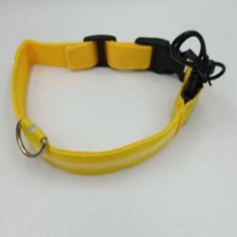 Yellow dog collar with black buckle on a white background