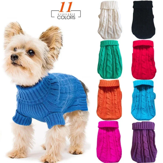 Dog wearing a blue sweater with colorful sweaters displayed on a white background