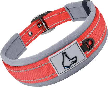 Red and gray dog collar with a reflective strip and a bone-shaped tag on a white background