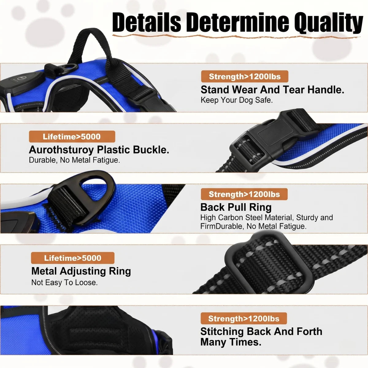 Dog collar with features highlighted on a white background