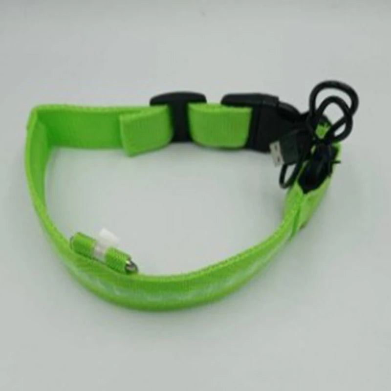 LED Dog Night Safety Collar – USB Rechargeable Nylon Light-Up Collar
