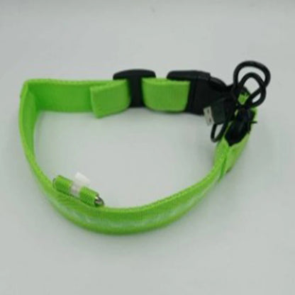LED Dog Night Safety Collar – USB Rechargeable Nylon Light-Up Collar