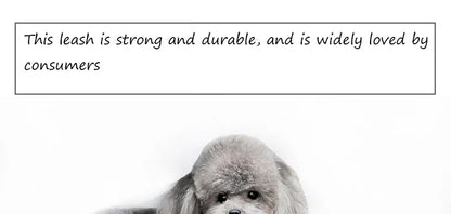 150/200/300cm Strong Pet Reflective Leash Explosion Proof