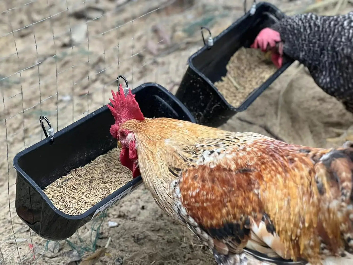 2 Pack Green Poultry Feeder with Clips, Hanging Fence Trough