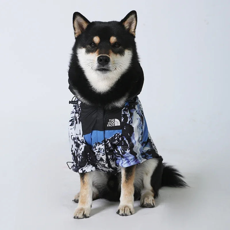 Dog wearing a colorful jacket with a brand logo on a white background