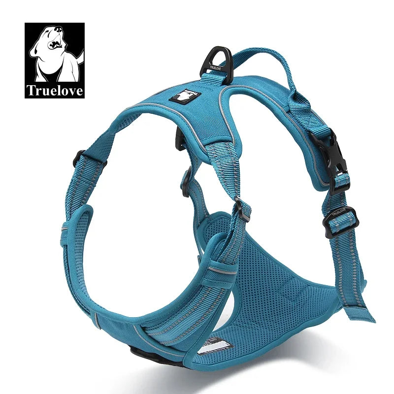 Blue dog harness with visible 'Truelove' branding on a white background