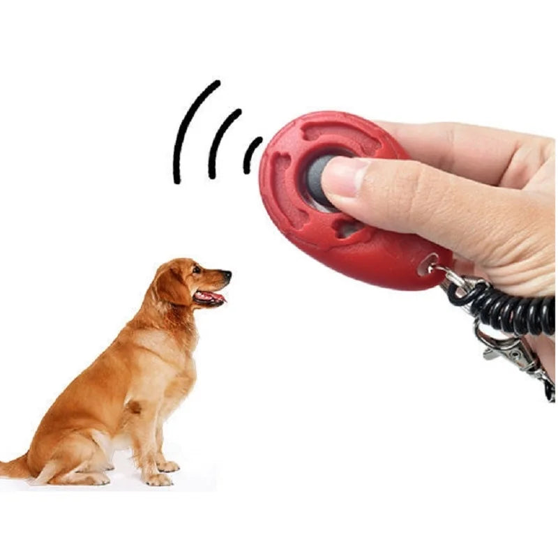 Red electronic dog training device held by a hand with a dog sitting and looking up.