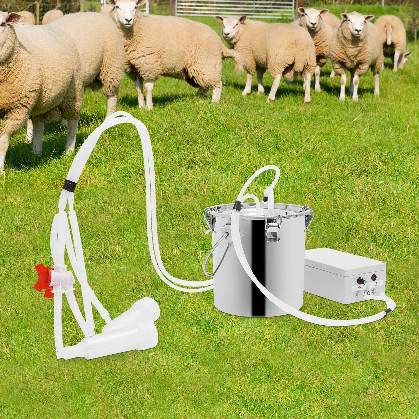 5L/10L Electric Cow Milking Machine Speed Pulsating Vacuum Pump