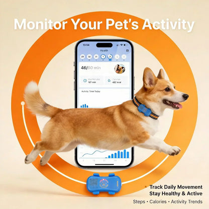 GPS Pet Tracker 4G Built-in SIM with Real-Time WiFi  Plan Required