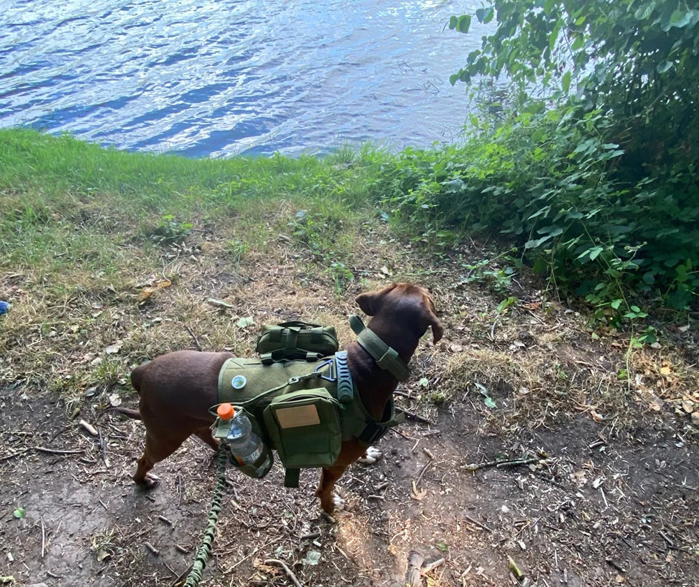 Military Large Dog Harness Collar Leash Bags Patches
