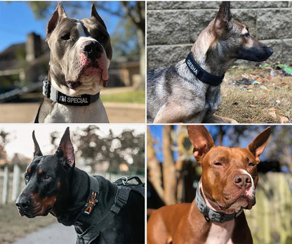Tactical Dog Collar Durable Nylon Military Outdoor
