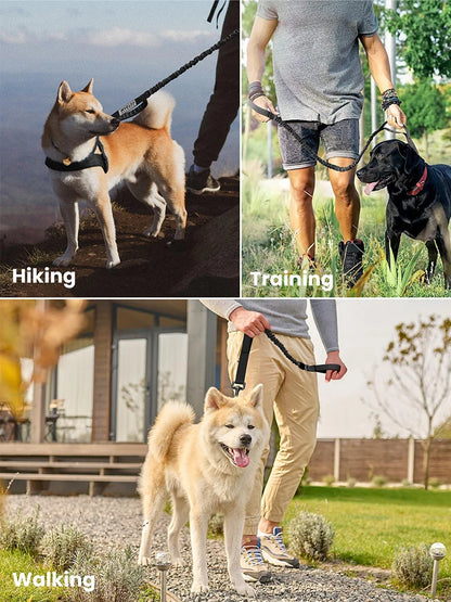 Military Dog Leashes Adjustable Quick Release With 2  Handles