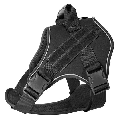 Black dog harness on a white background