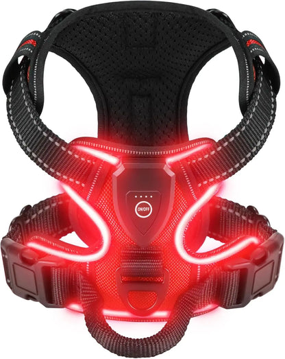 Black dog harness with red LED lights on a white background