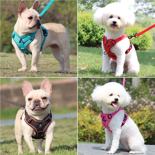Harness and Leash Set For Small Dog French Bulldog Pug Pitbull Puppy