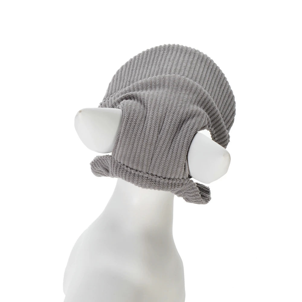 Cute Hat for Cats Dogs Adjustable  Baseball Cap With Ear Hole
