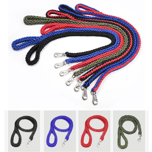 Set of colorful braided leashes with metal clips on a white background